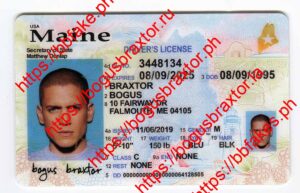 Maine Fake ID