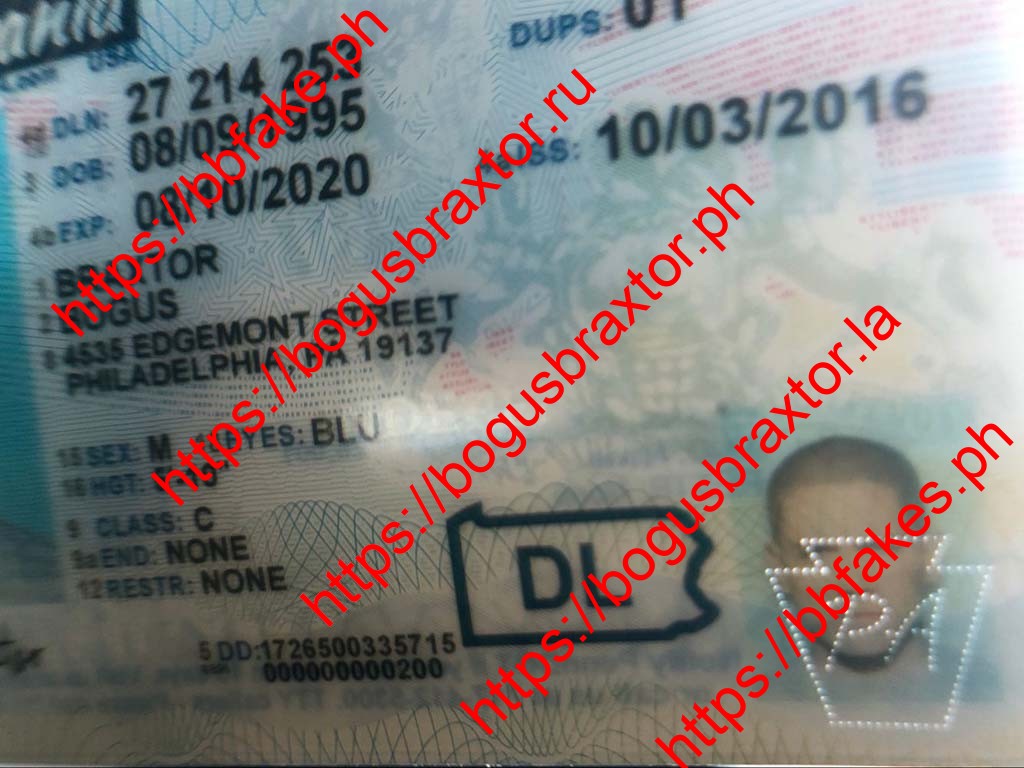 Pennsylvania Fake ID - Image 5