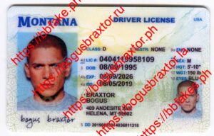 Montana Fake ID