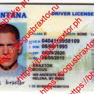 Montana Fake ID