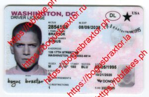 Washington DC Fake ID