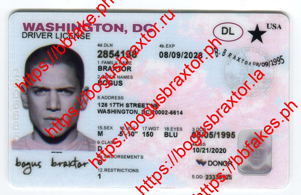 Washington DC Fake ID