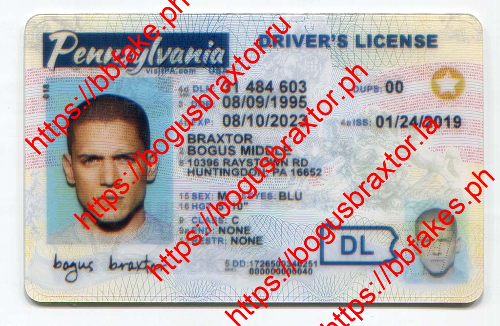 Pennsylvania Fake ID