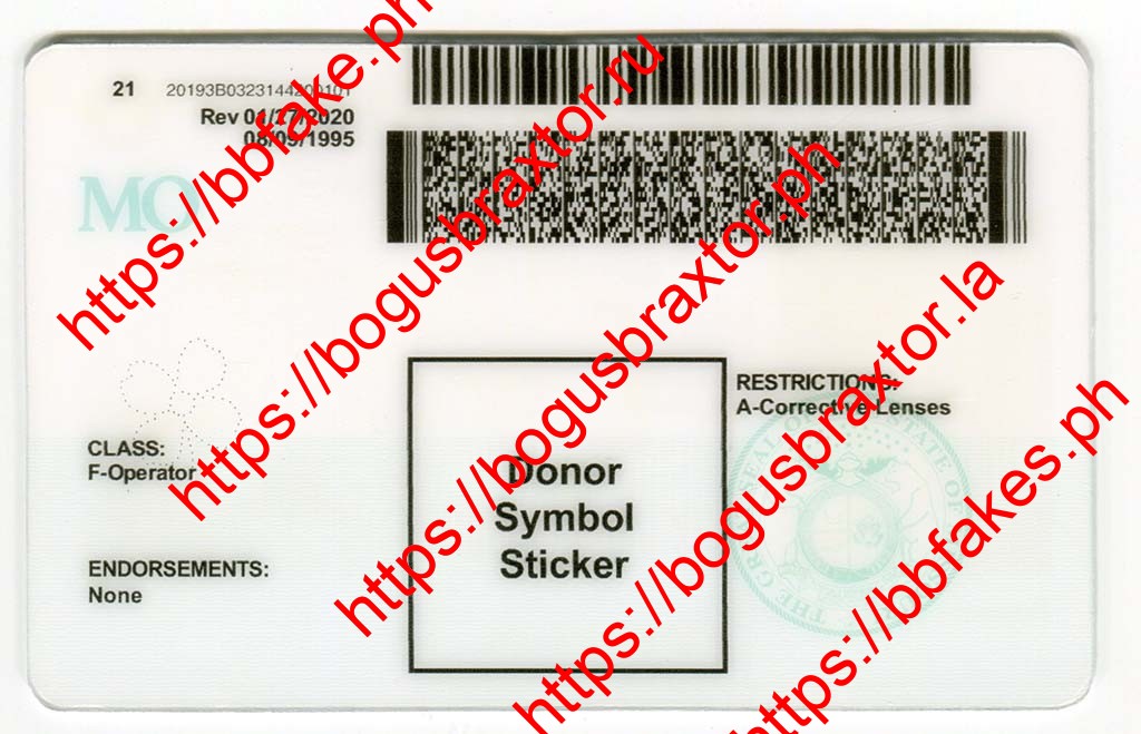 Missouri Fake ID - Image 2