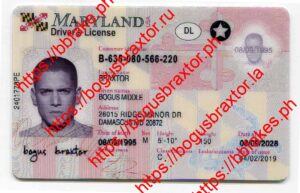 Maryland Fake ID