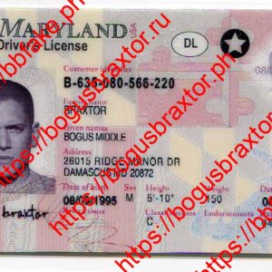 Maryland Fake ID