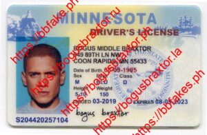 Minnesota Fake IDs