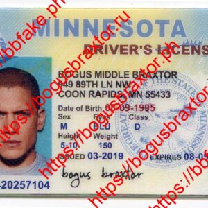 Minnesota Fake IDs