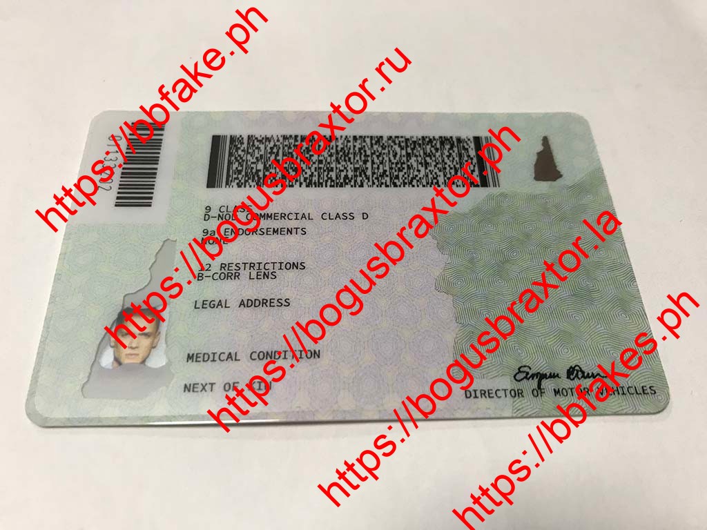 New Hampshire Fake ID - Image 6