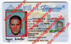 Tennessee Fake ID