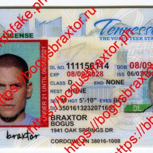 Tennessee Fake ID