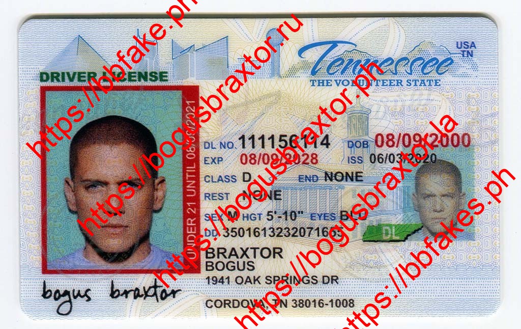 Tennessee Fake ID