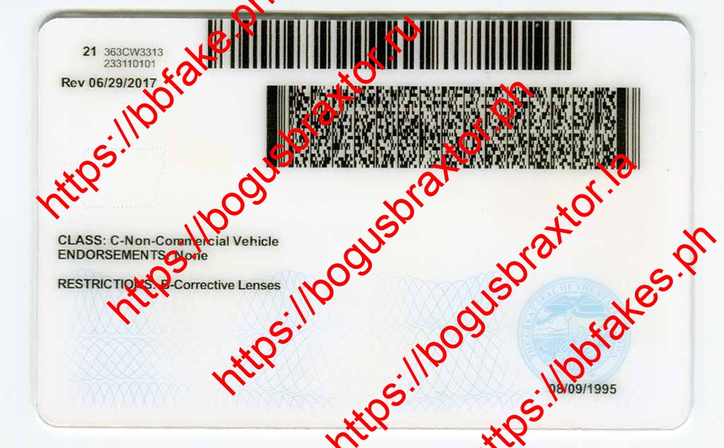 Iowa Fake ID - Image 5