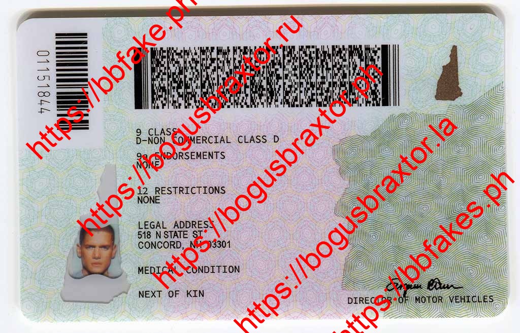 New Hampshire Fake ID - Image 5