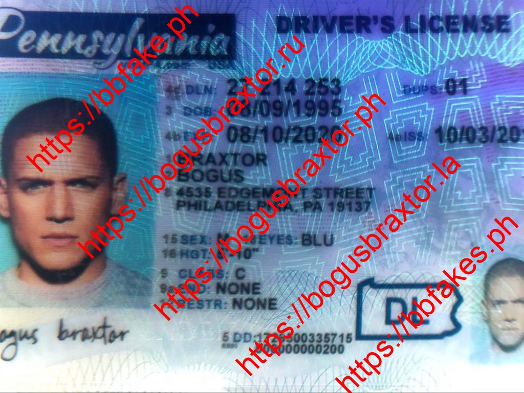 Pennsylvania Fake ID - Image 4