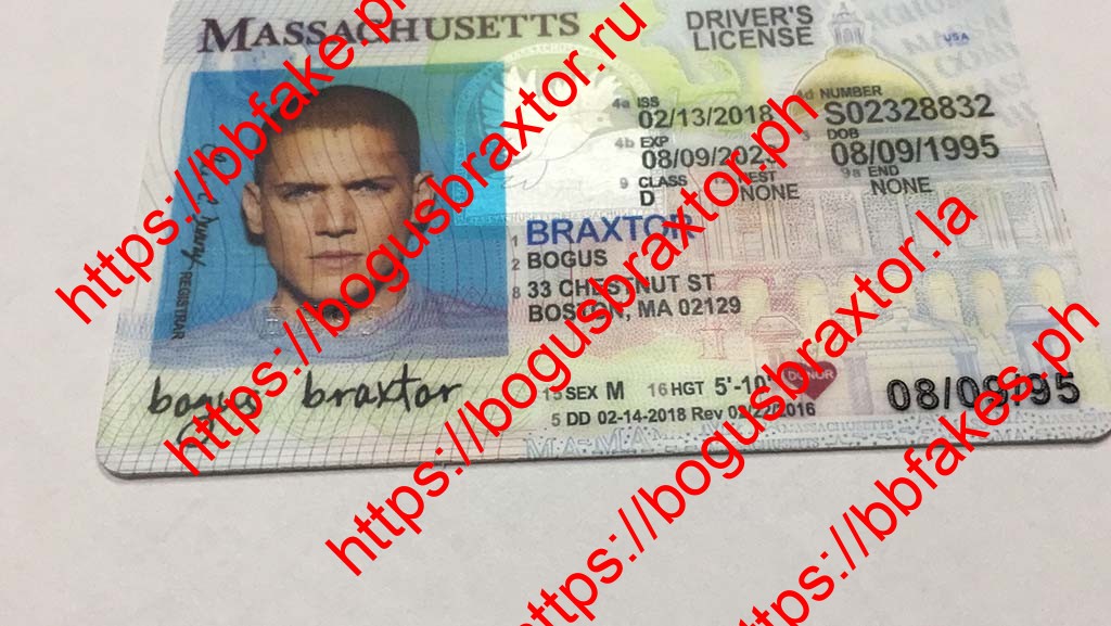 Massachusetts Fake ID - Image 6