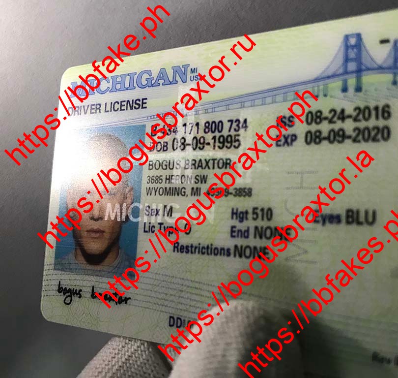 Michigan Fake ID - Image 4