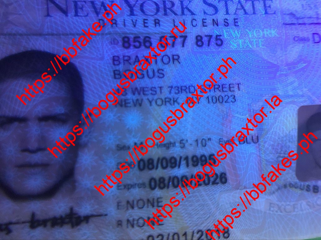 New York V3(NY O21 V3) - Image 4