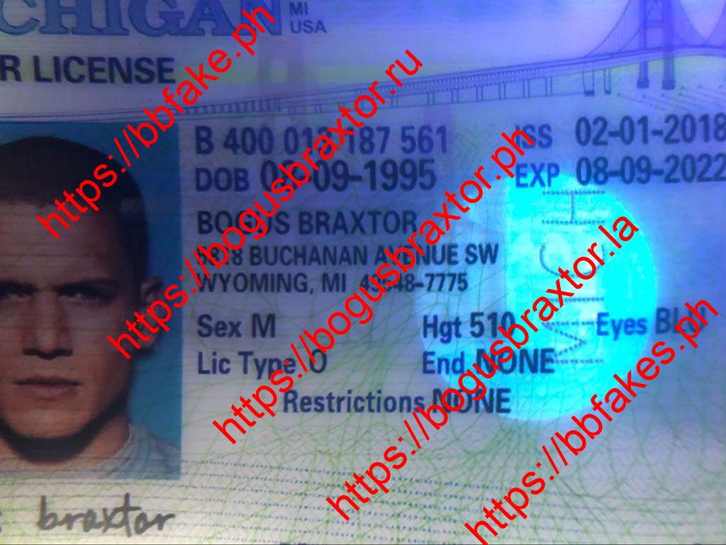 Michigan Fake ID - Image 6