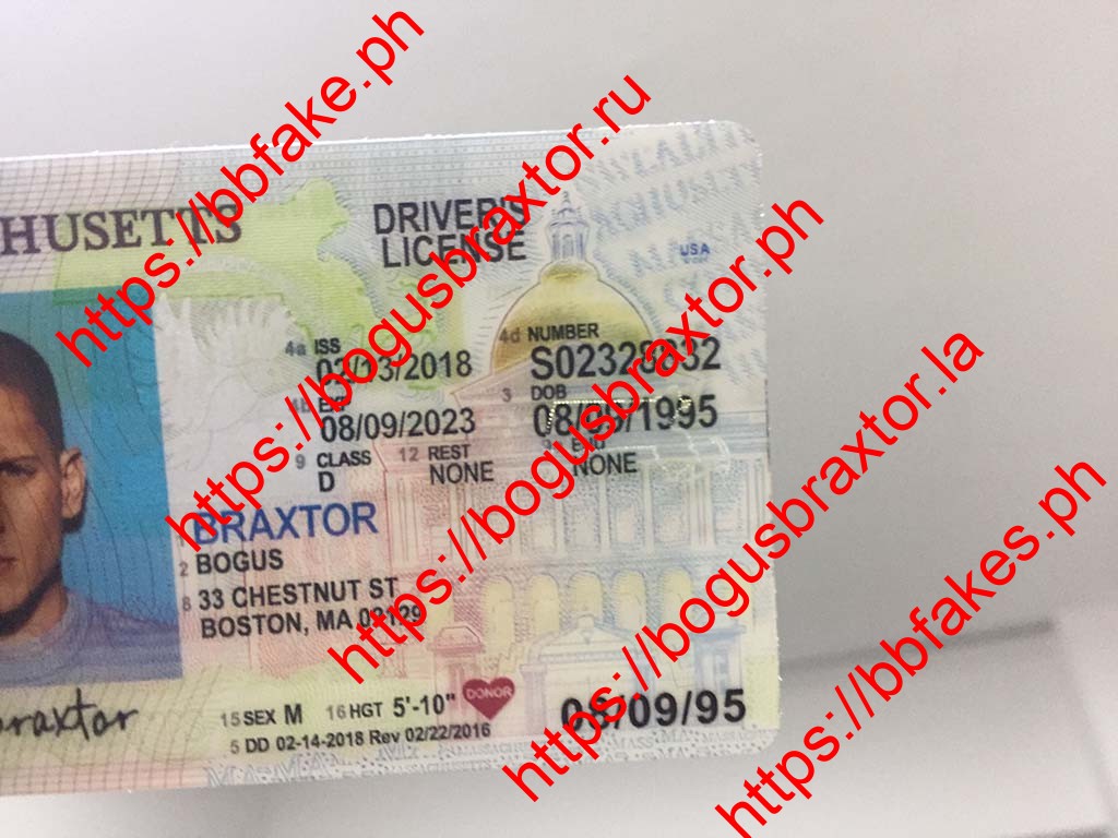 Massachusetts Fake ID - Image 5