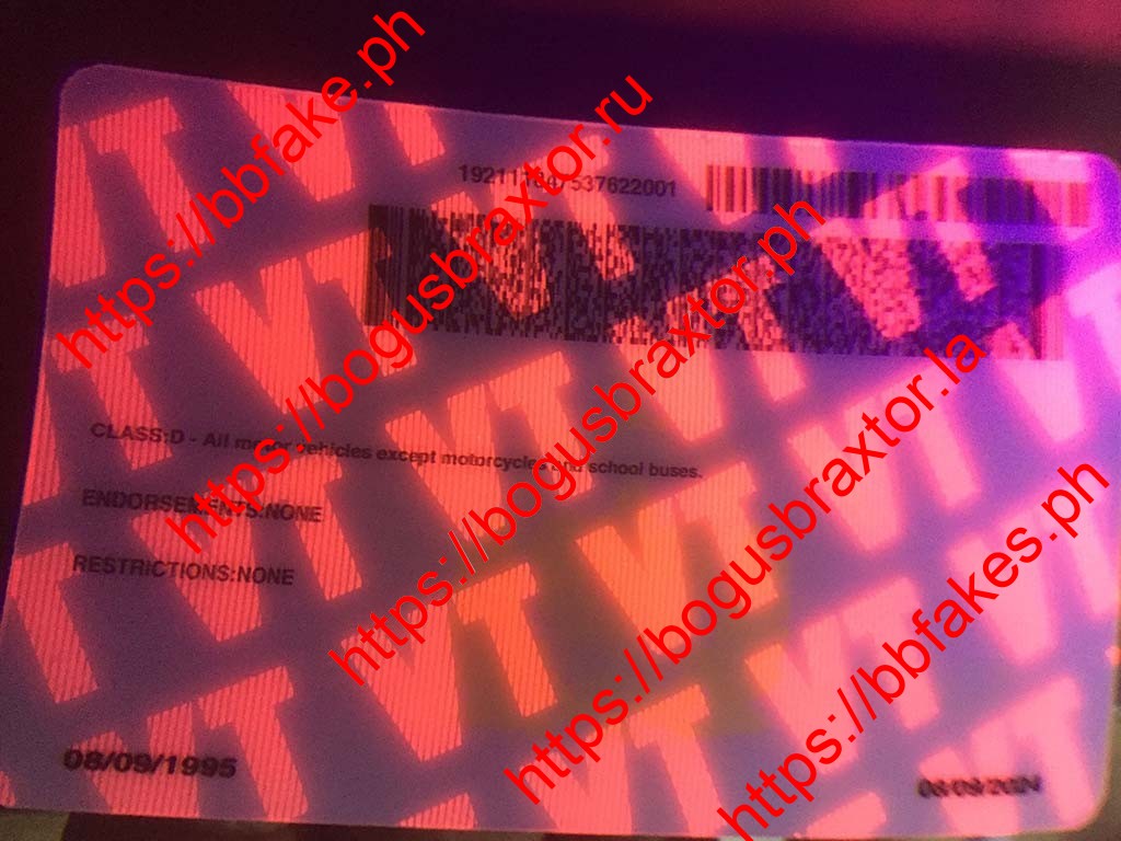 Vermont Fake ID - Image 4