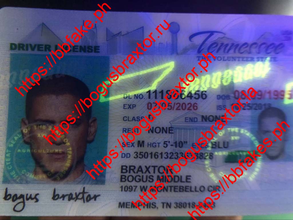 Tennessee Fake ID - Image 4