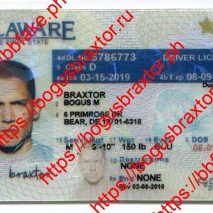Delaware Fake IDs