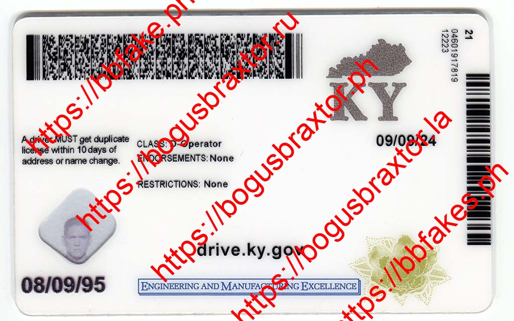 Kentucky Fake ID - Image 2