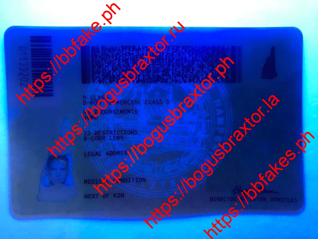 New Hampshire Fake ID - Image 4