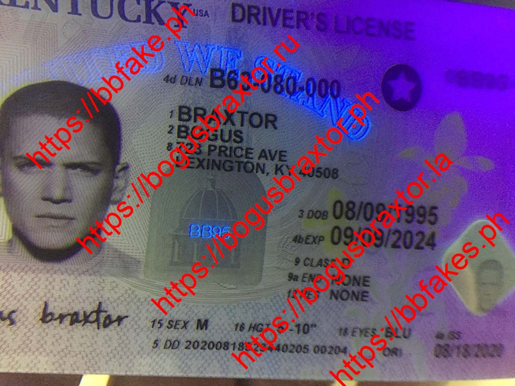 Kentucky Fake ID - Image 3