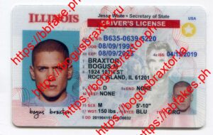 Illinois Fake ID