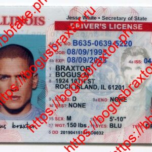 Illinois Fake ID
