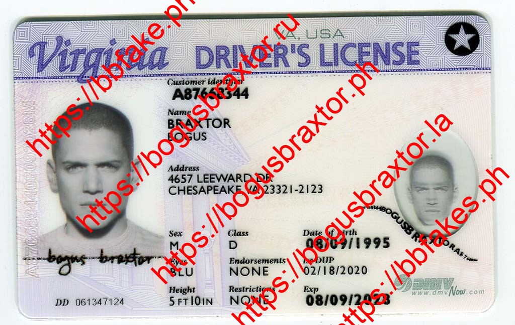 Virginia Fake ID