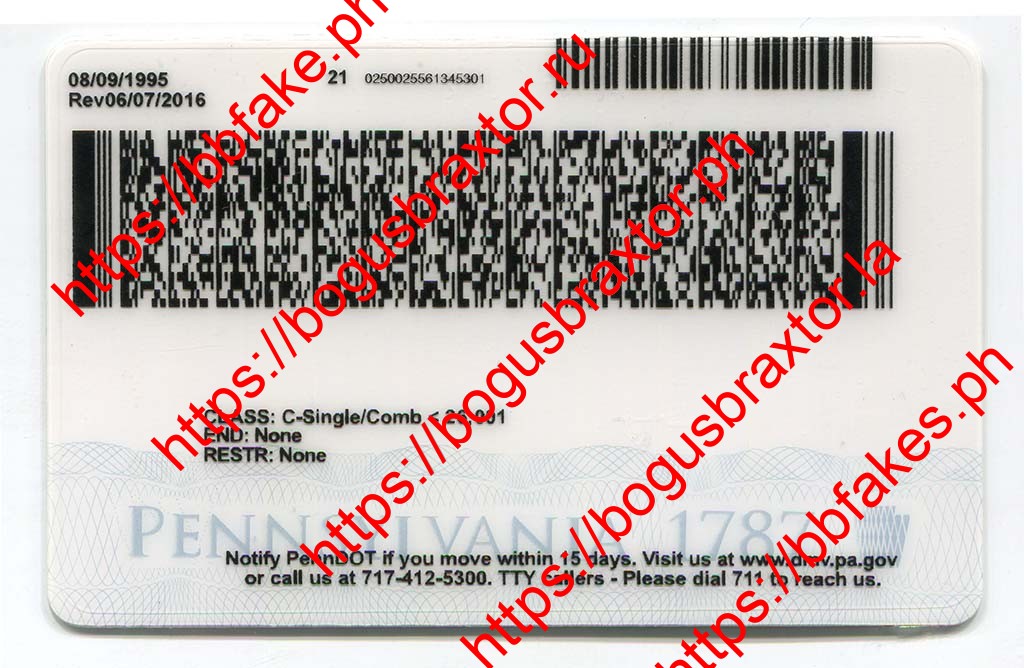 Pennsylvania Fake ID - Image 3