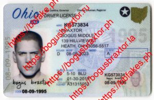 Ohio Fake ID