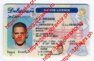 Delaware Fake ID