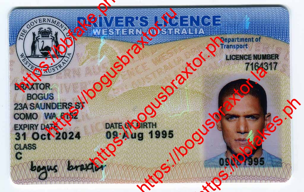 Western Australia Provisional Fake ID - Image 3