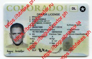 Colorado Fake IDs