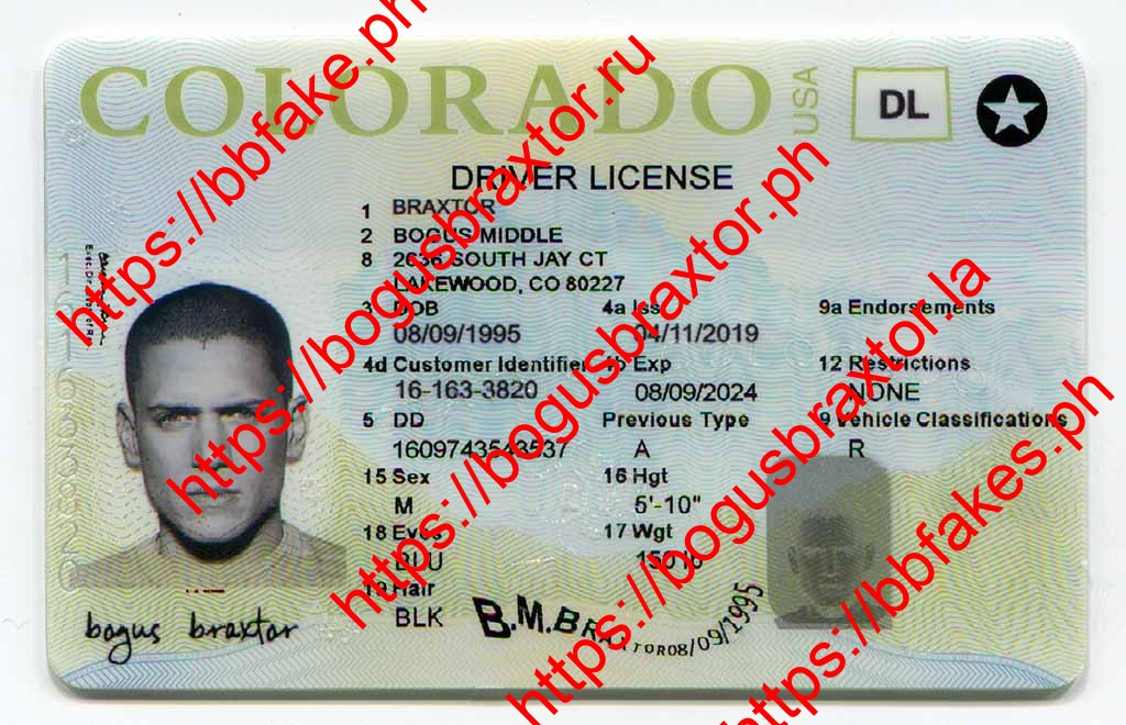 Colorado Fake IDs