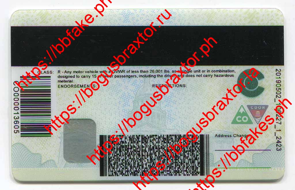 Colorado Fake IDs - Image 3