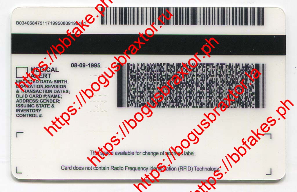 Michigan Fake ID - Image 2