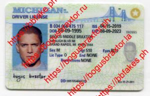 Michigan Fake ID