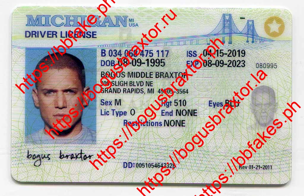 Michigan Fake ID