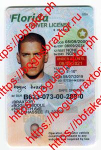 Florida Learner Fake ID