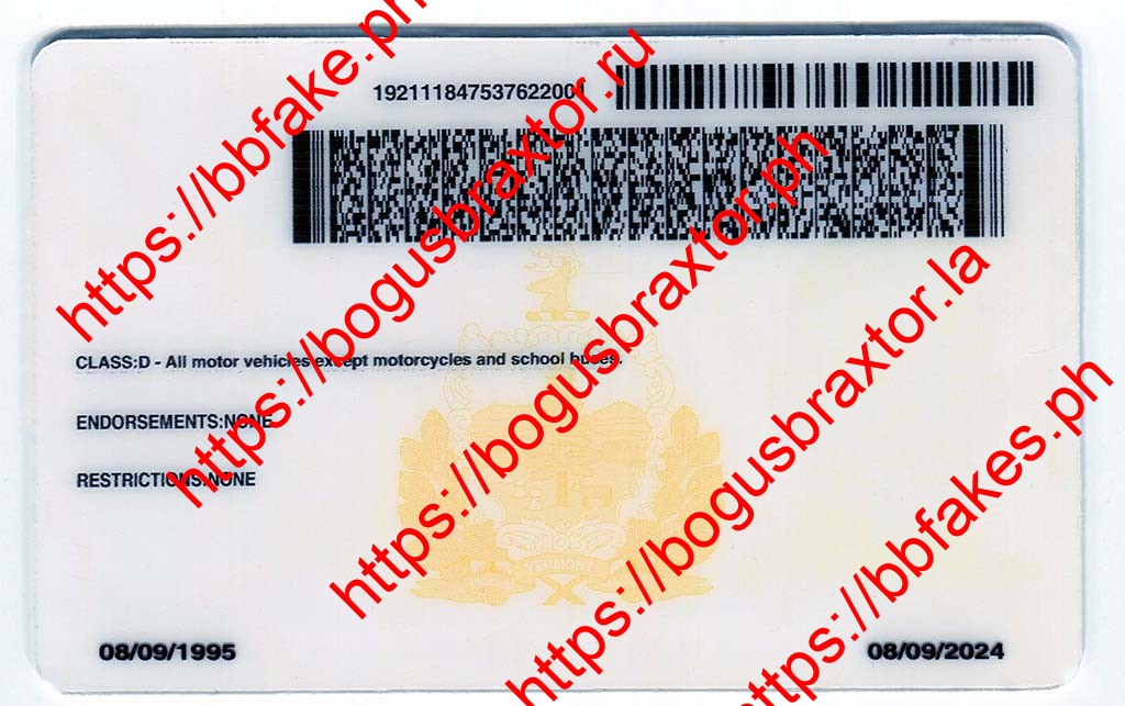 Vermont Fake ID - Image 3