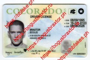 Colorado Fake ID