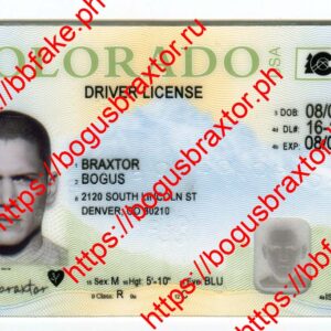 Colorado Fake ID