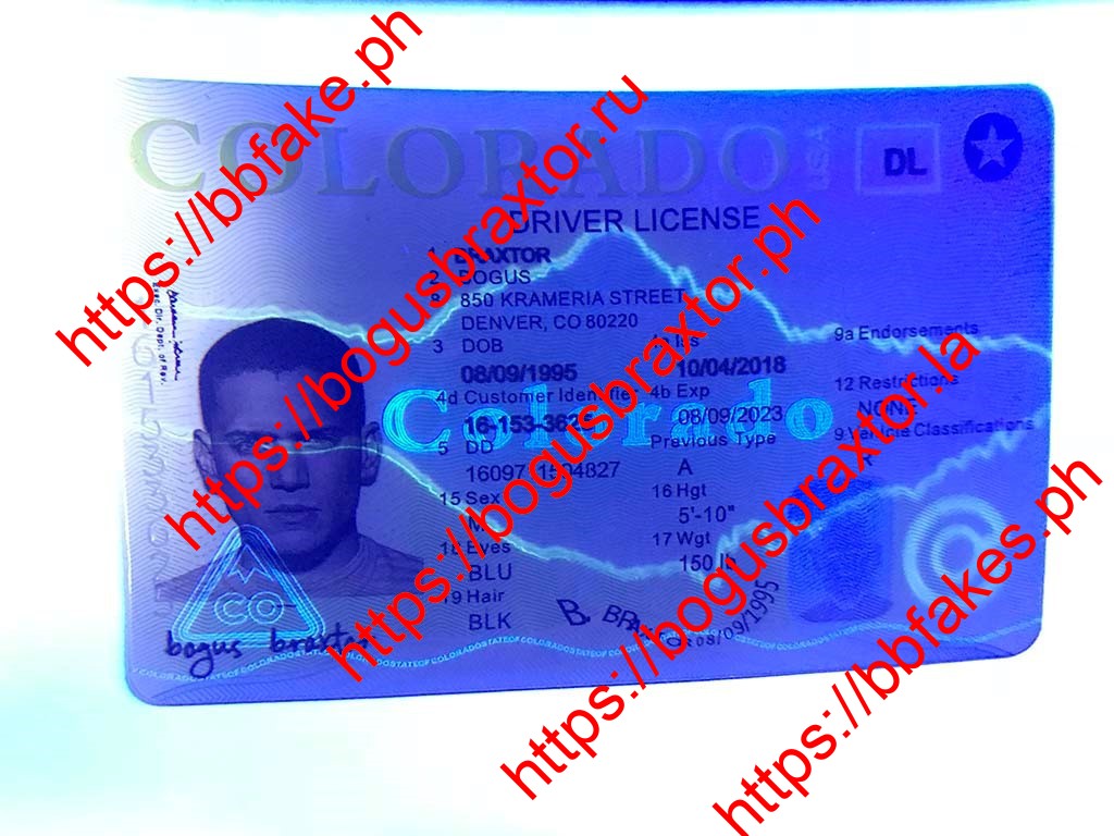 Colorado Fake IDs - Image 2