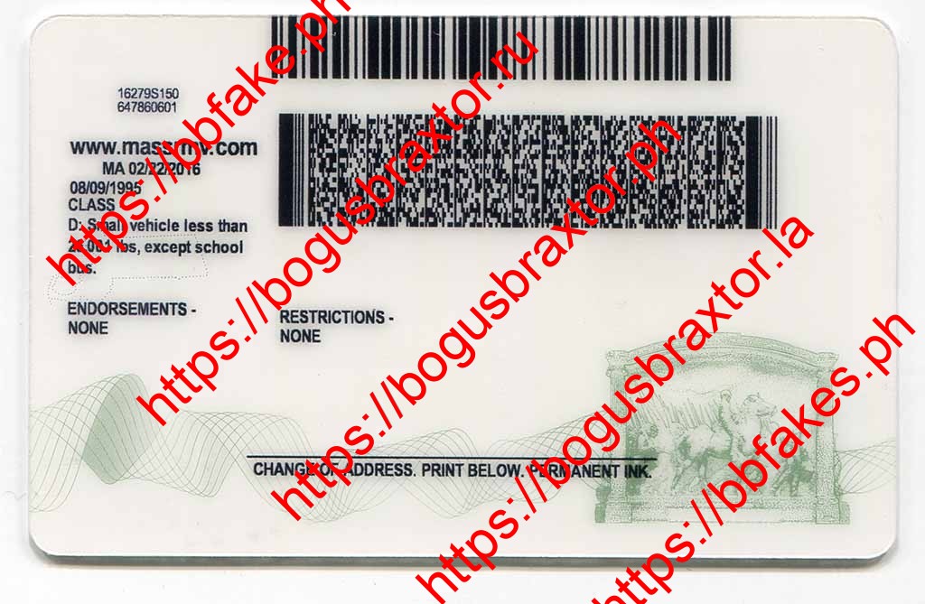 Massachusetts Fake ID - Image 3