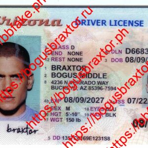 Arizona Fake ID